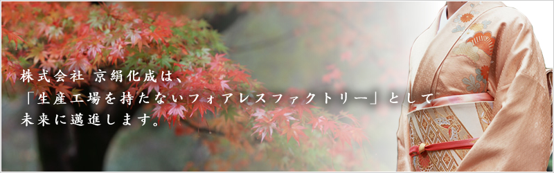 京絹化成メインイメージ1